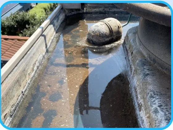 Water quality in the tank